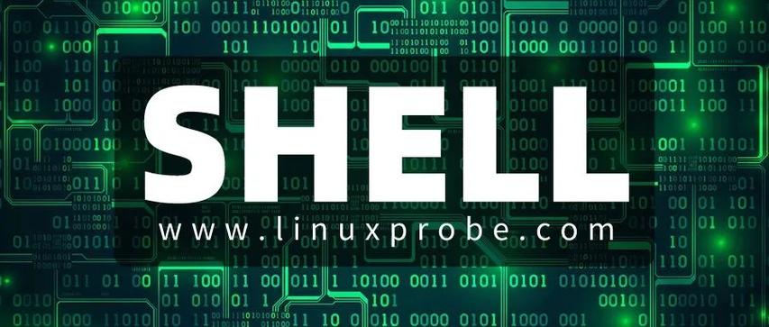 shell循环语句while